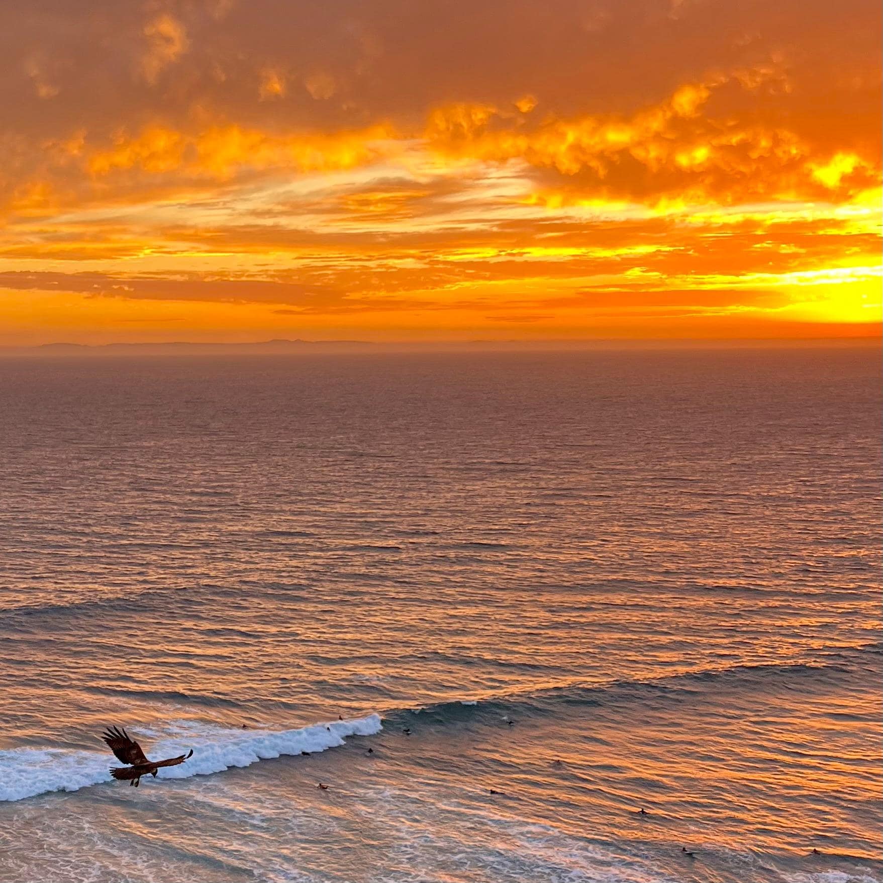 Salt Creek public beach is within walking distance and the sunsets are beautiful