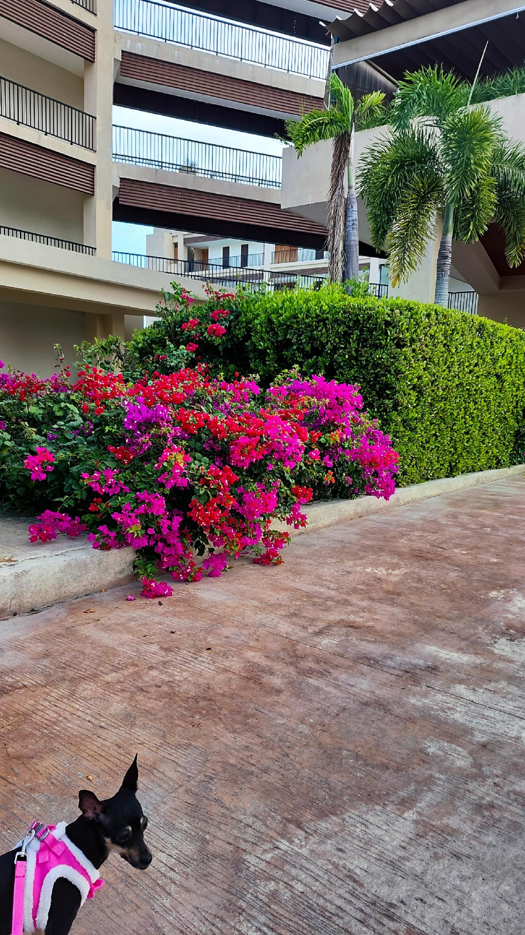 Front of check in entrance. 