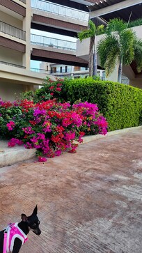 Front of check in entrance.