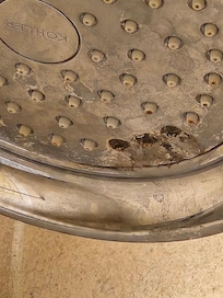 Shower head moldy