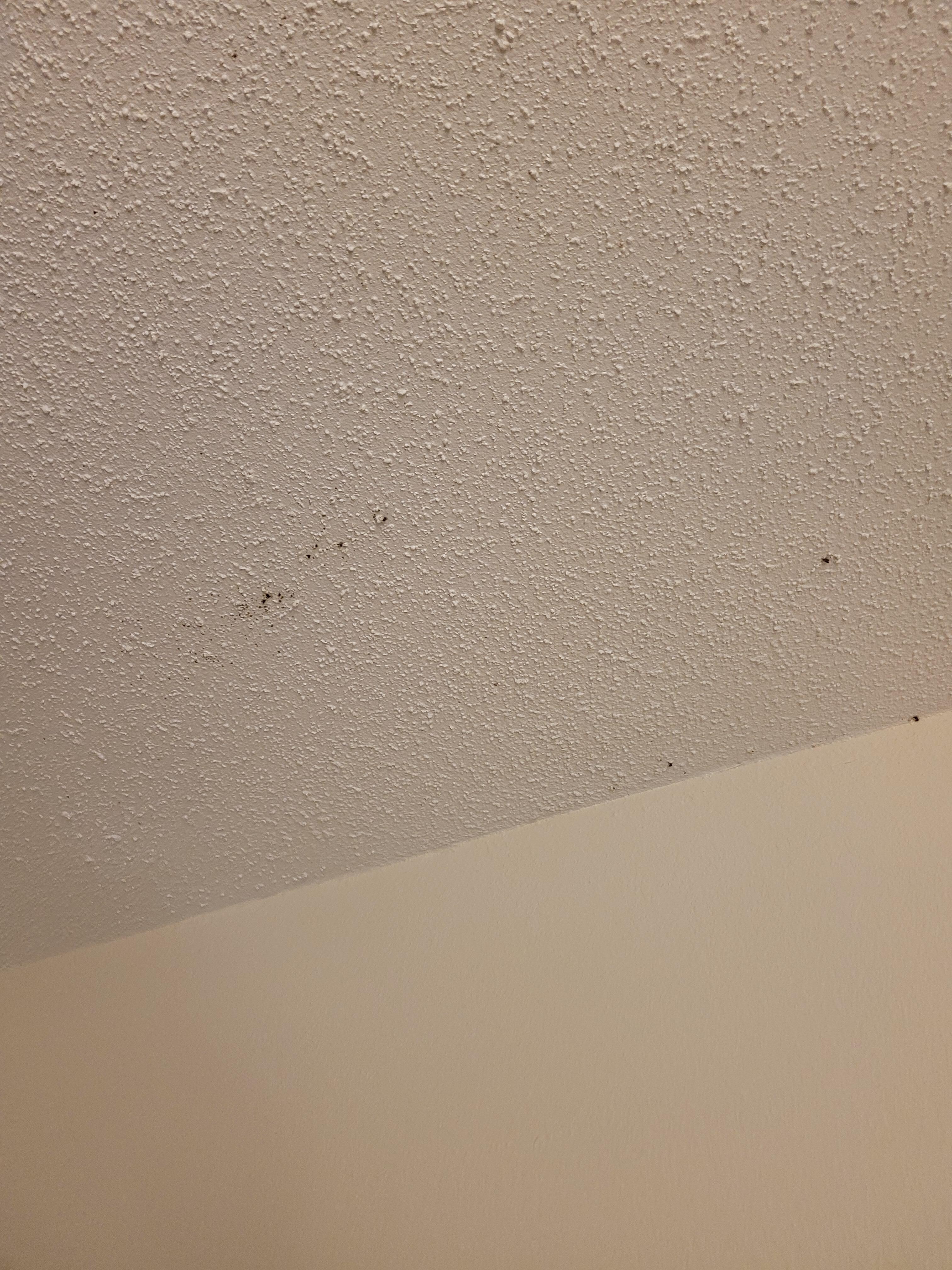 Visible mold and smell rooms dirty 