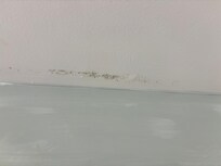 Mold in bathroom