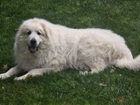 Our girls loved the back yard ...and we loved that it was fenced in!
