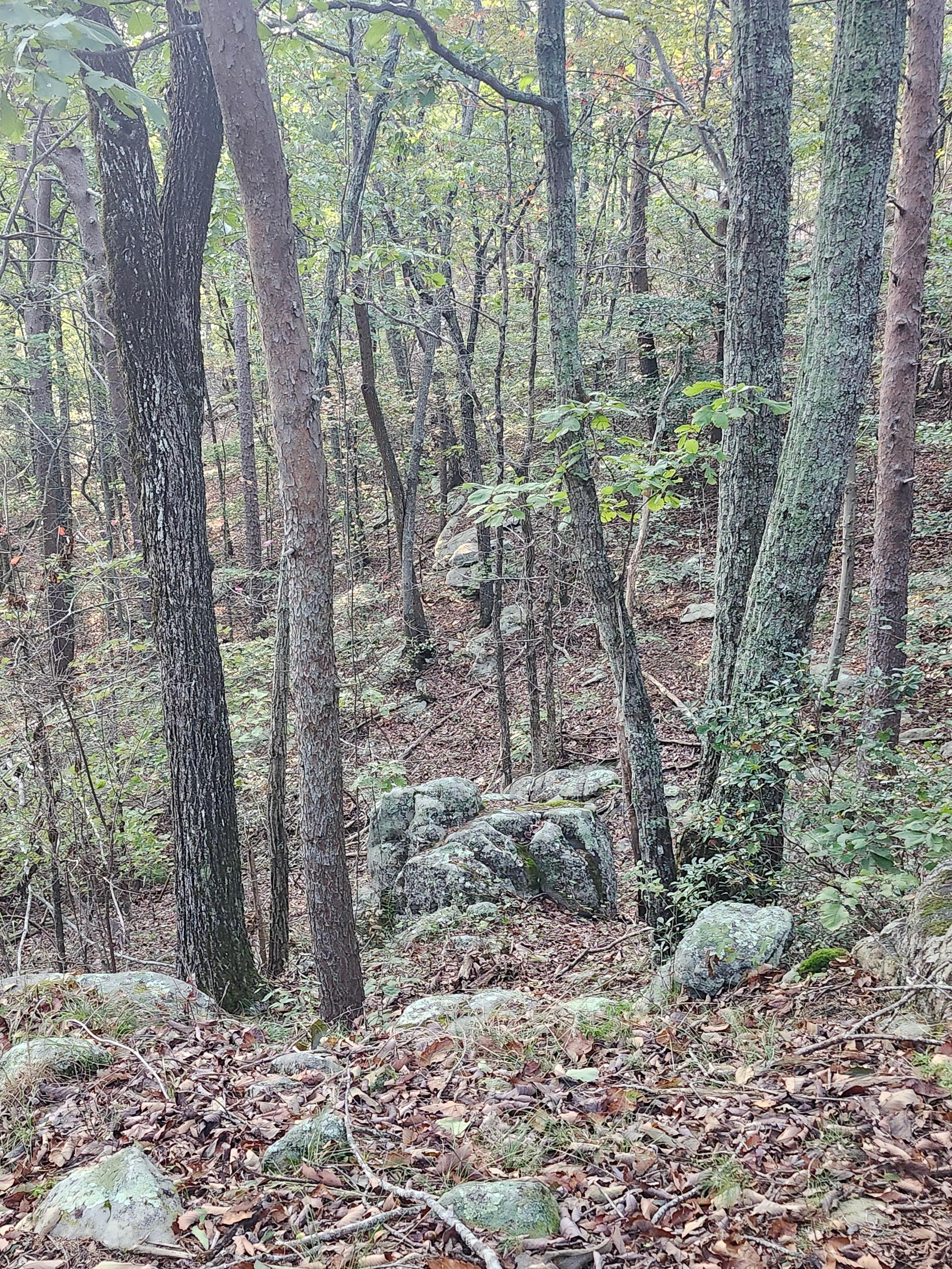 Hiking trails on the property