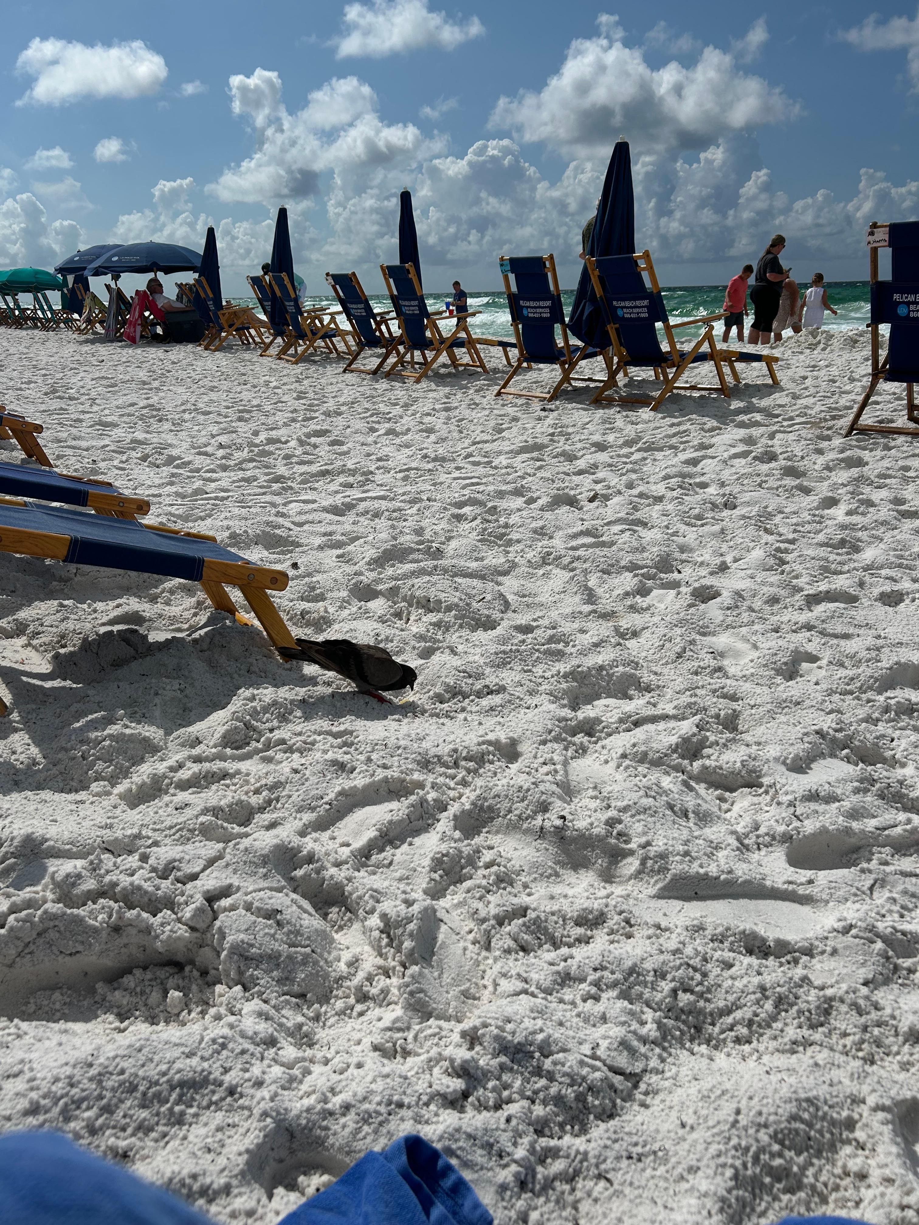 We spent many hours everyday on the beach chairs 