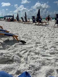 We spent many hours everyday on the beach chairs