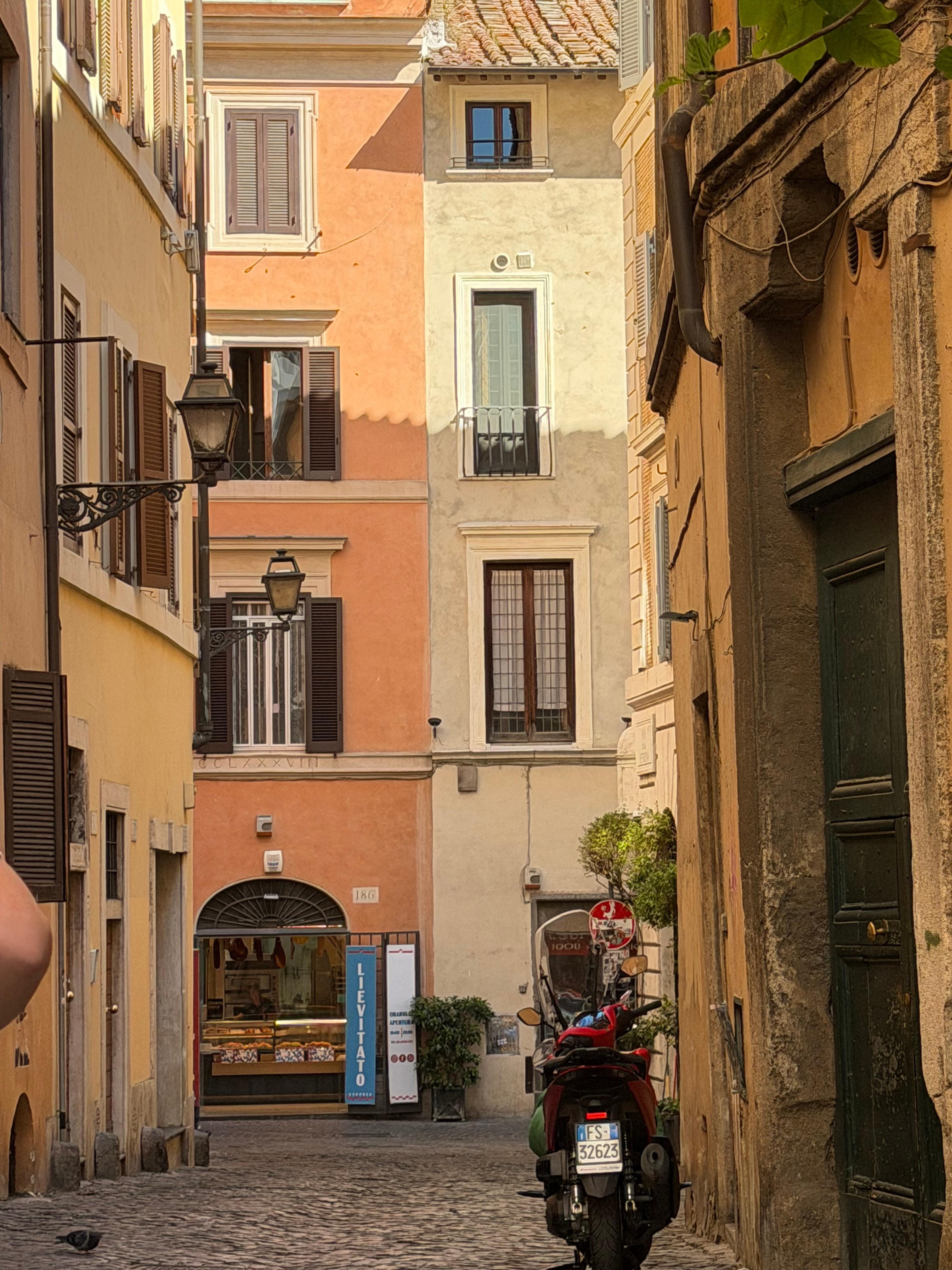 Just steps away from food, shopping and restaurants- yet the street was quiet in the evening. Perfect location near Piazza Navona