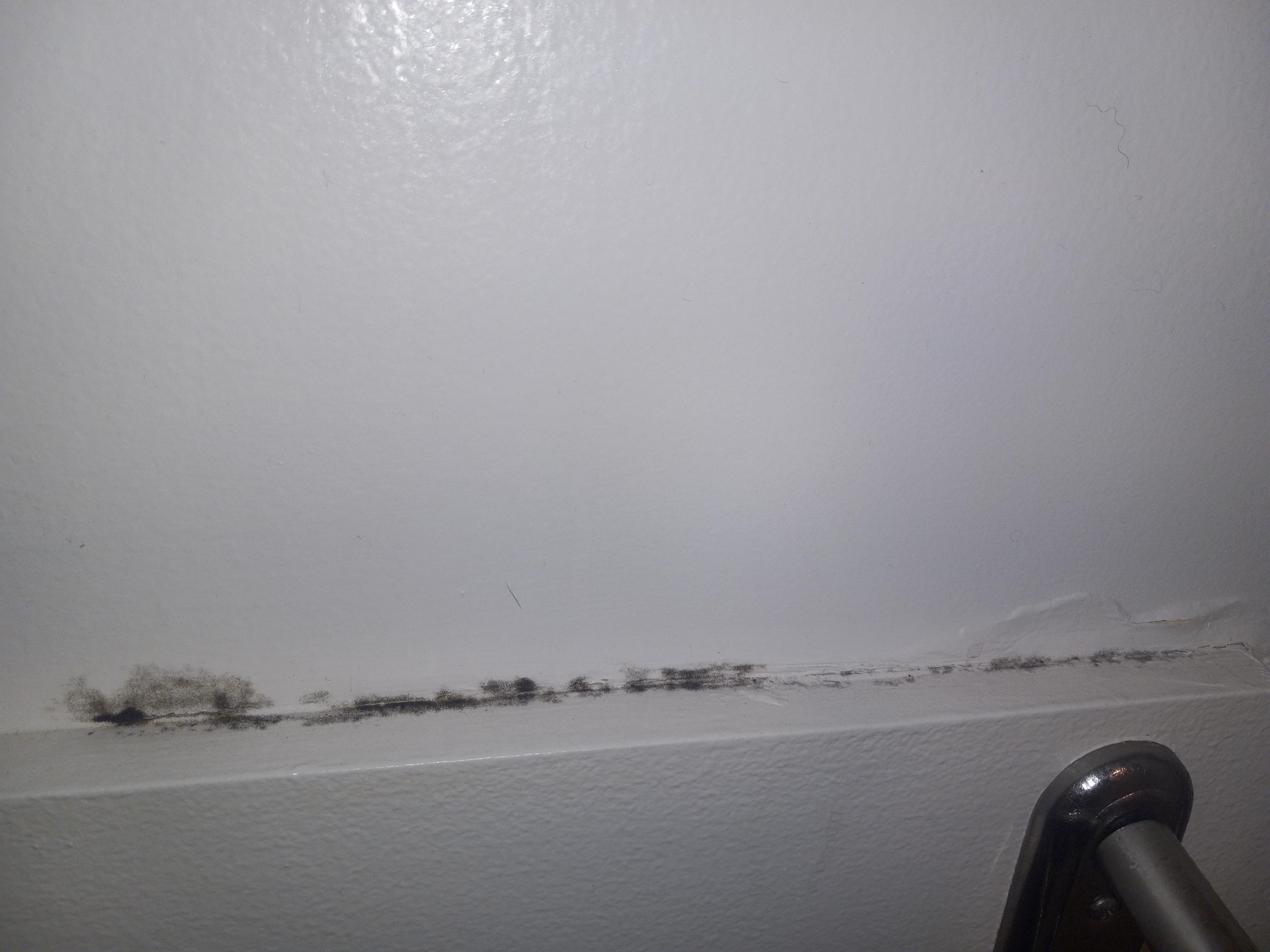 Black mold in the bathroom