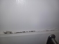 Black mold in the bathroom