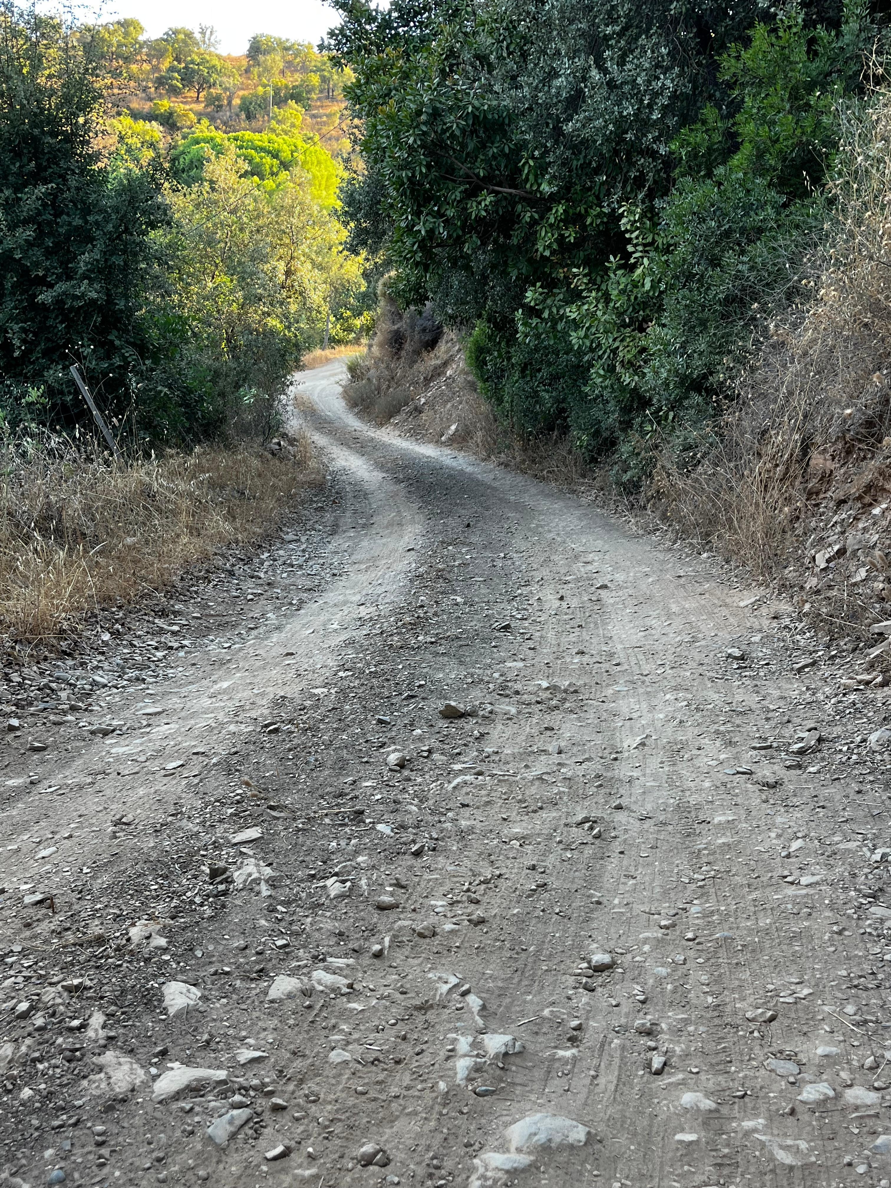 Part of the track to villa. 