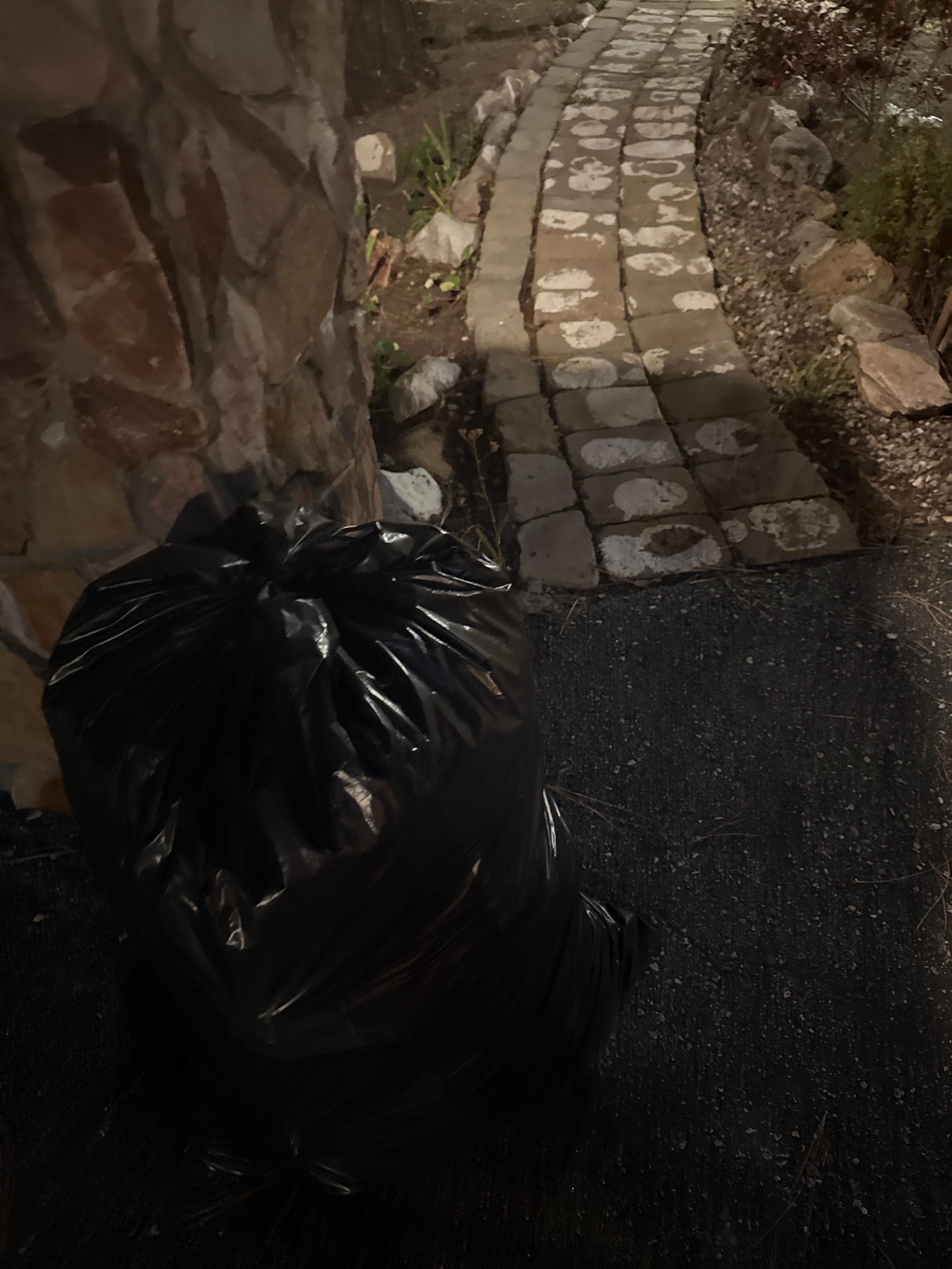 Trash bags right outside the property in the designated parking spot 
