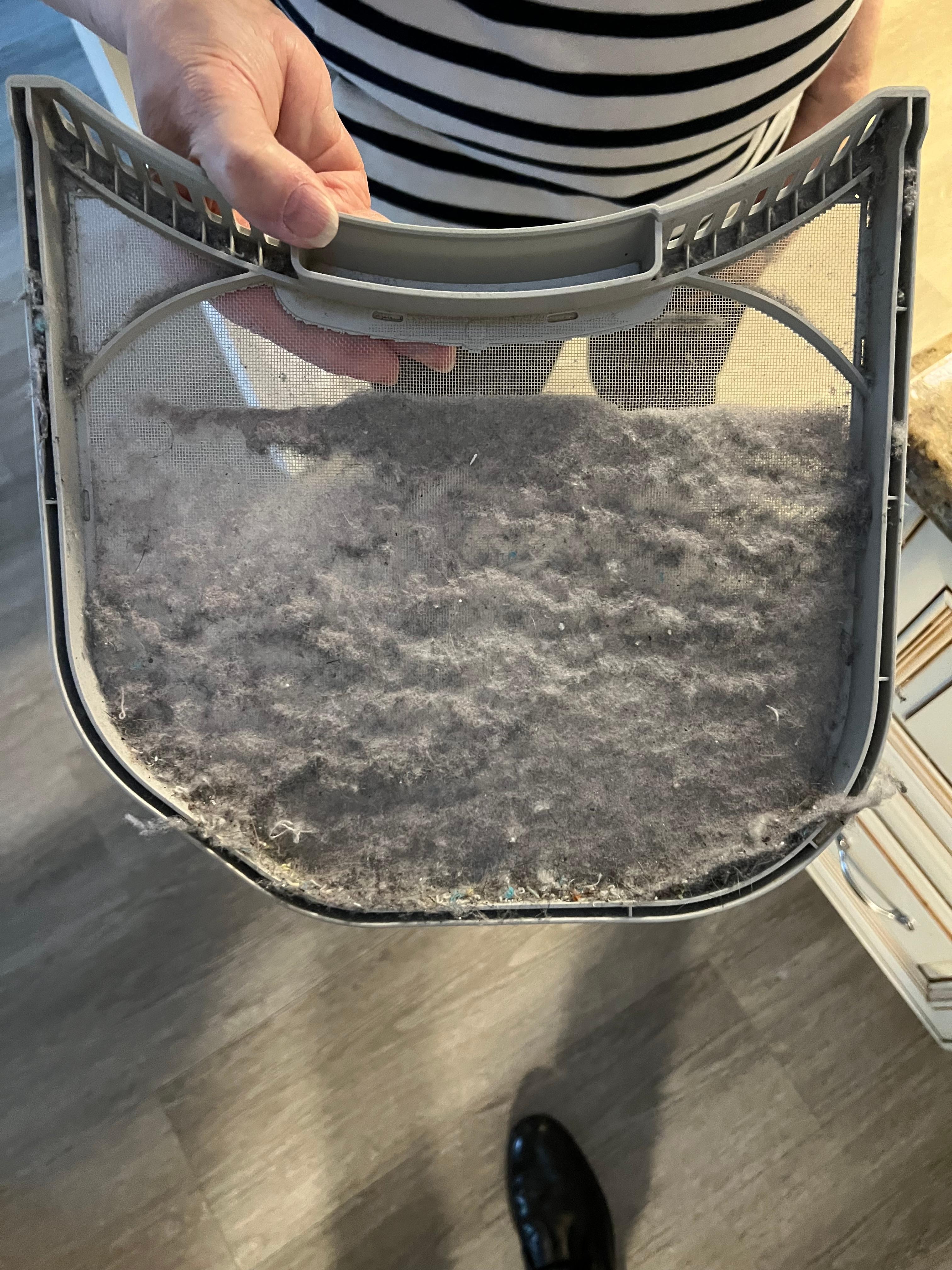 Dryer lint left from multiple uses.