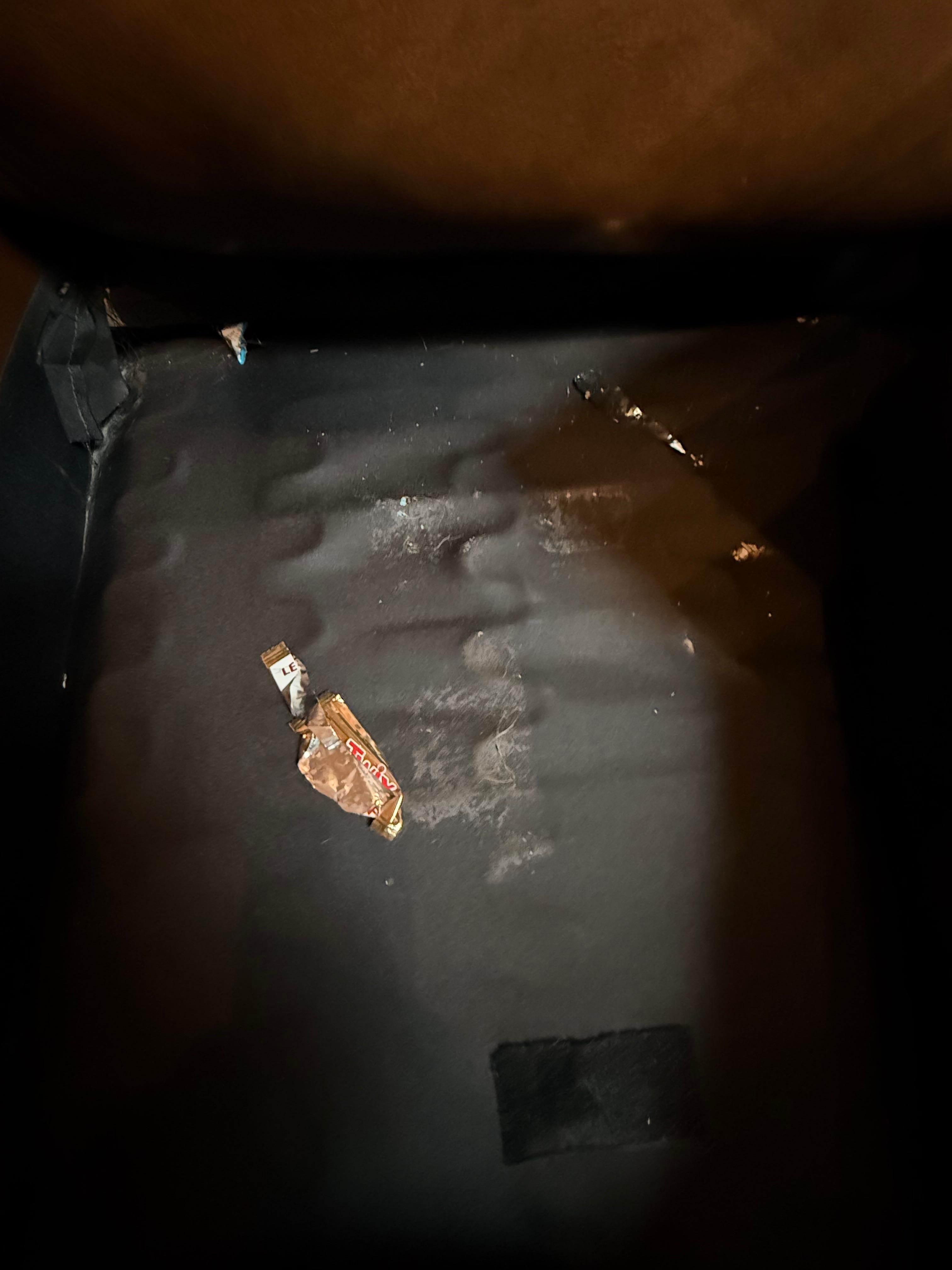 Some of the trash in the couch. 