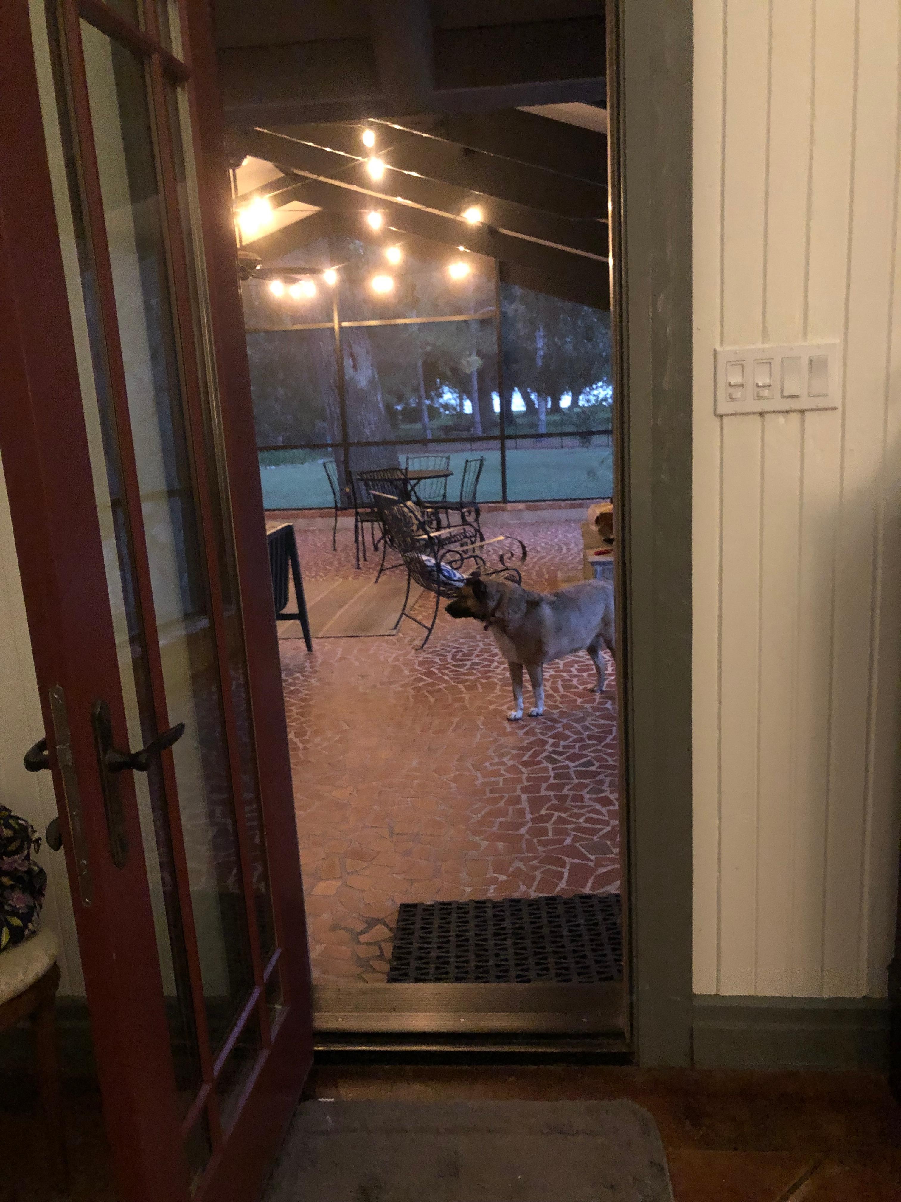 View from beautiful large bedroom. 