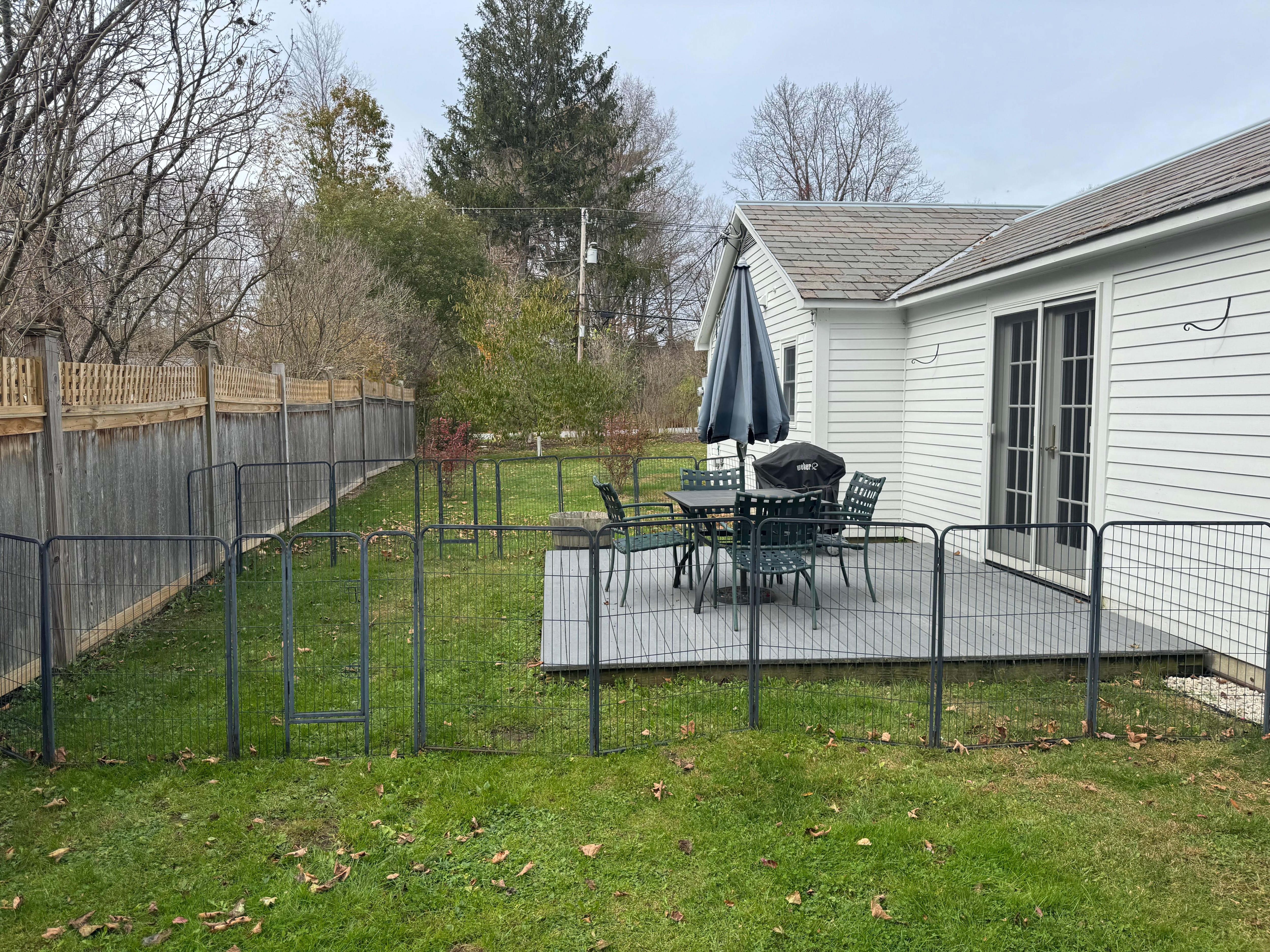 Fenced in area for dogs