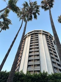 The hotel