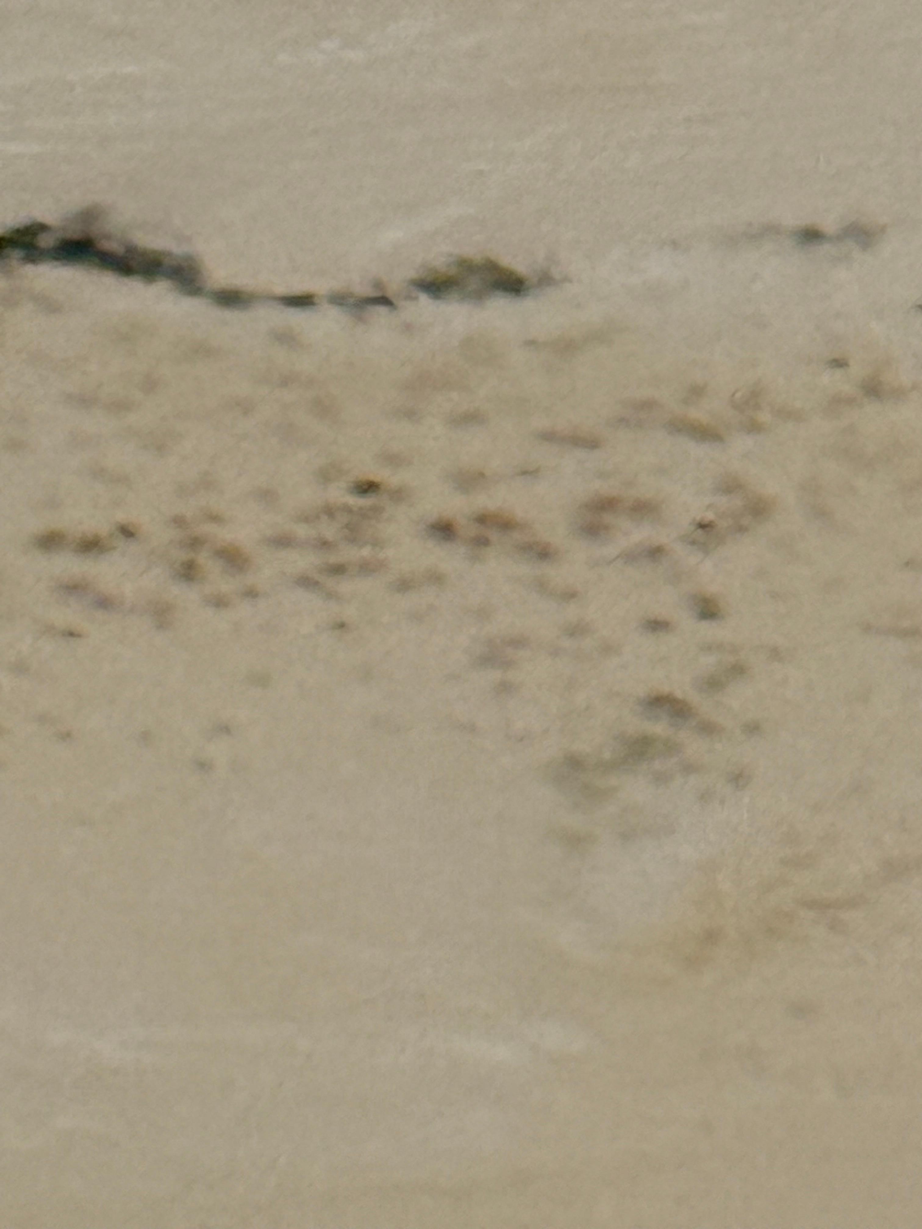 Mold on ceiling in bathroom 