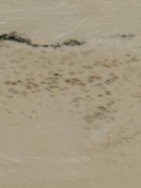 Mold on ceiling in bathroom