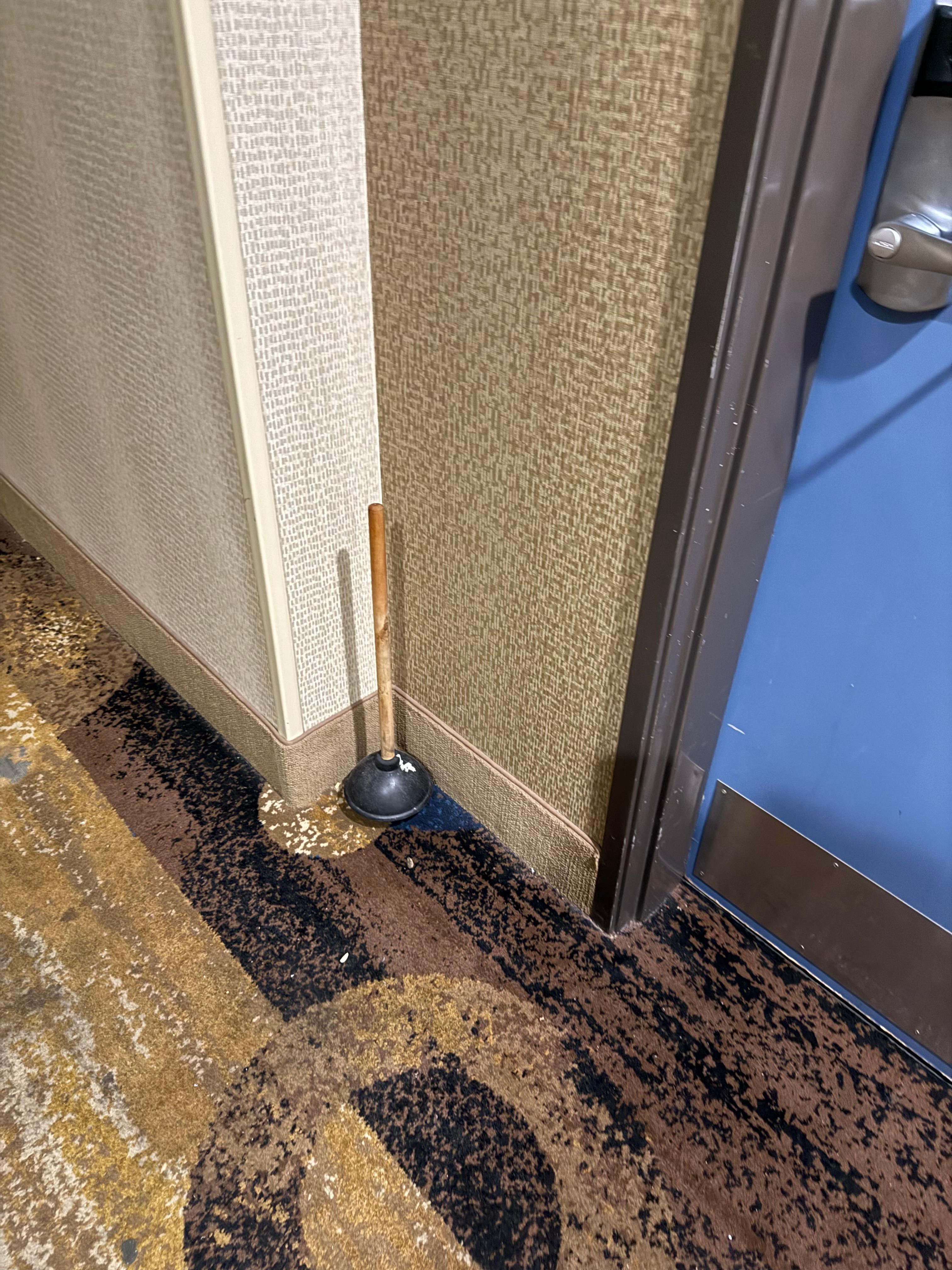 A nasty toilet plunger right outside the door