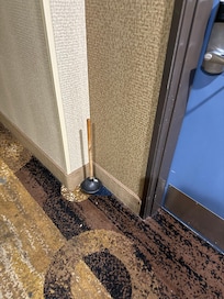 A nasty toilet plunger right outside the door