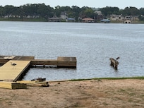 Cranes making friends