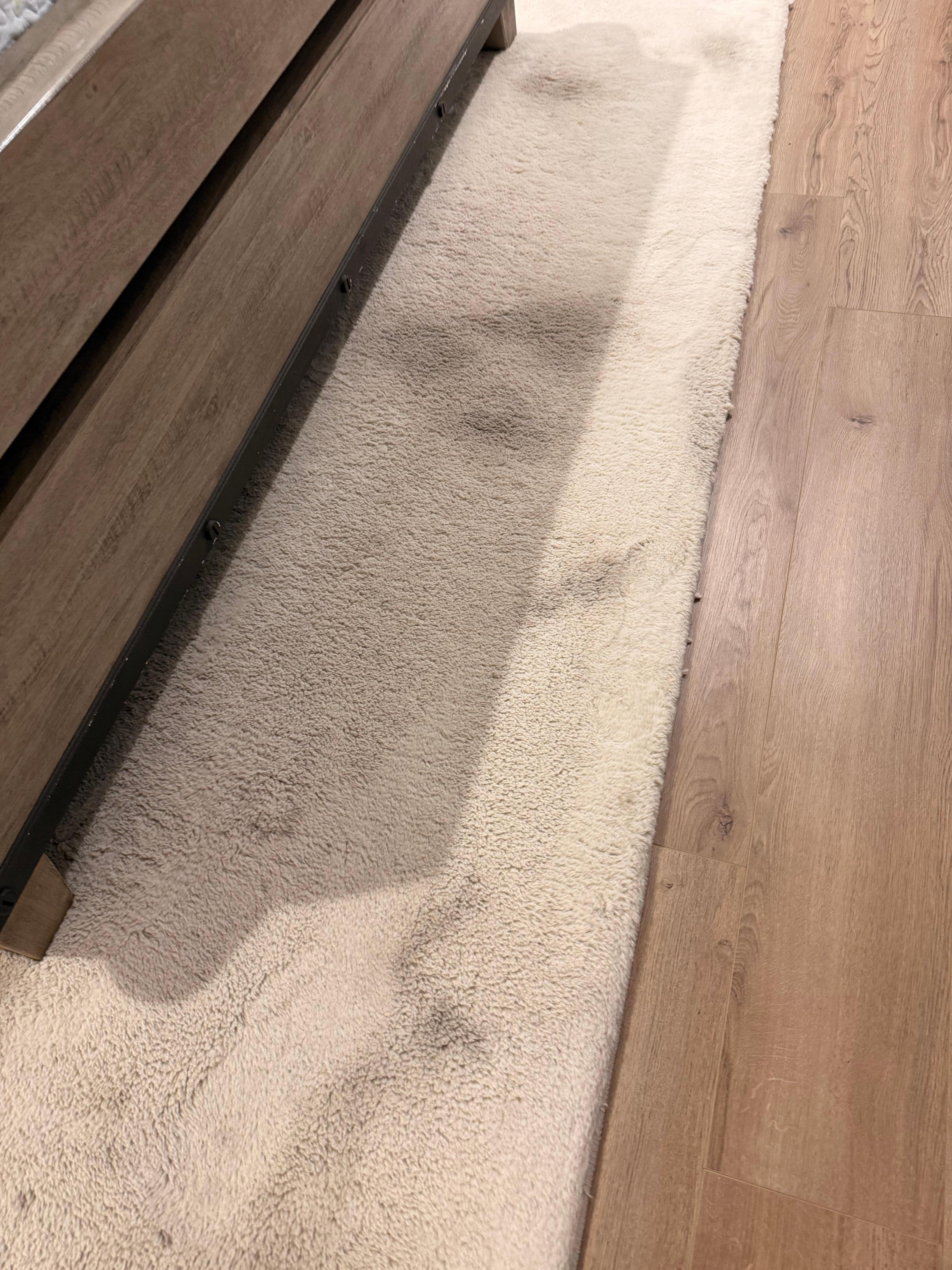 Stained rug in bedroom 