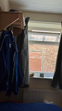 Room view 219