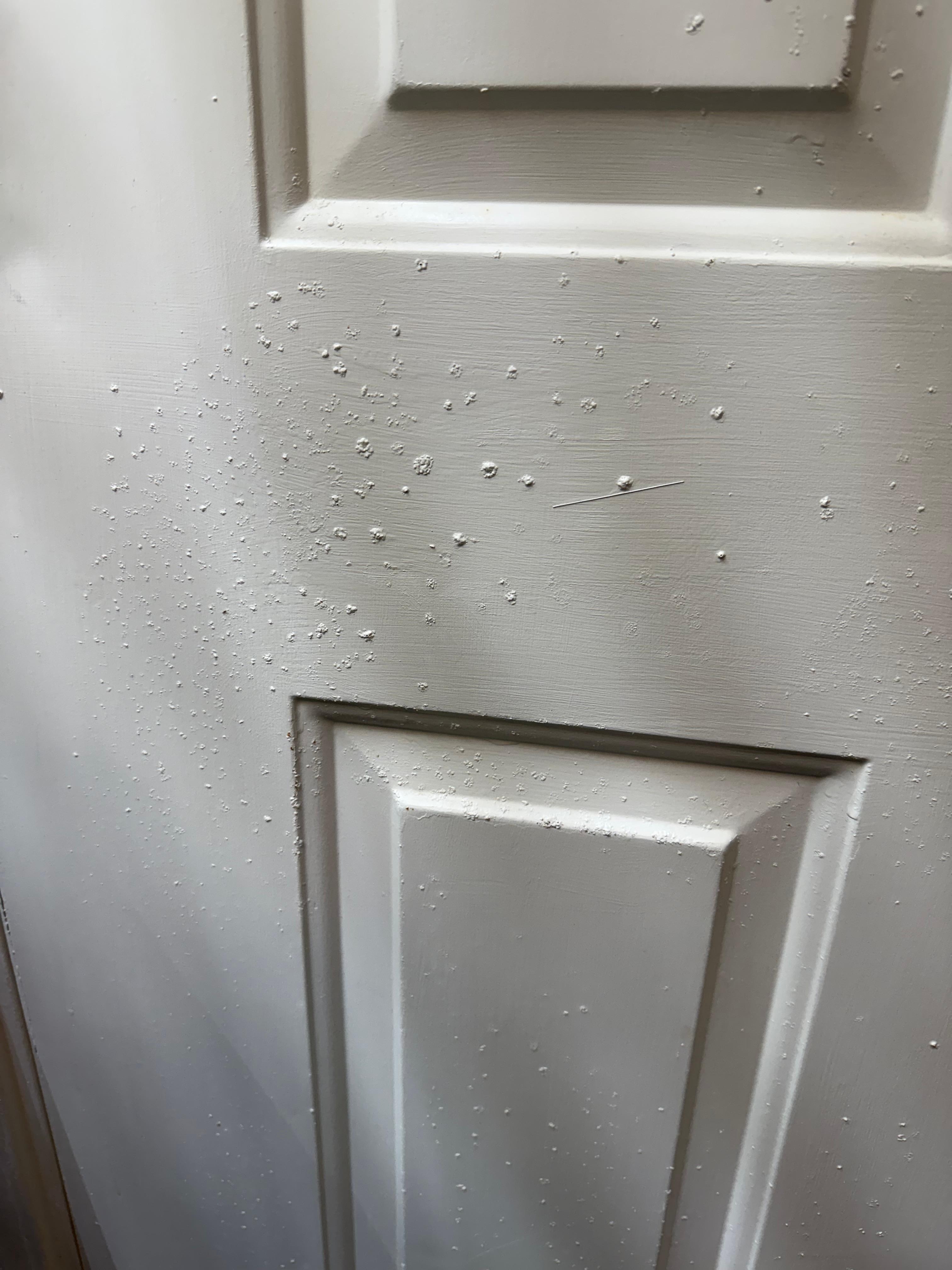 Rusted on back of door. We weren’t sure if mold was present