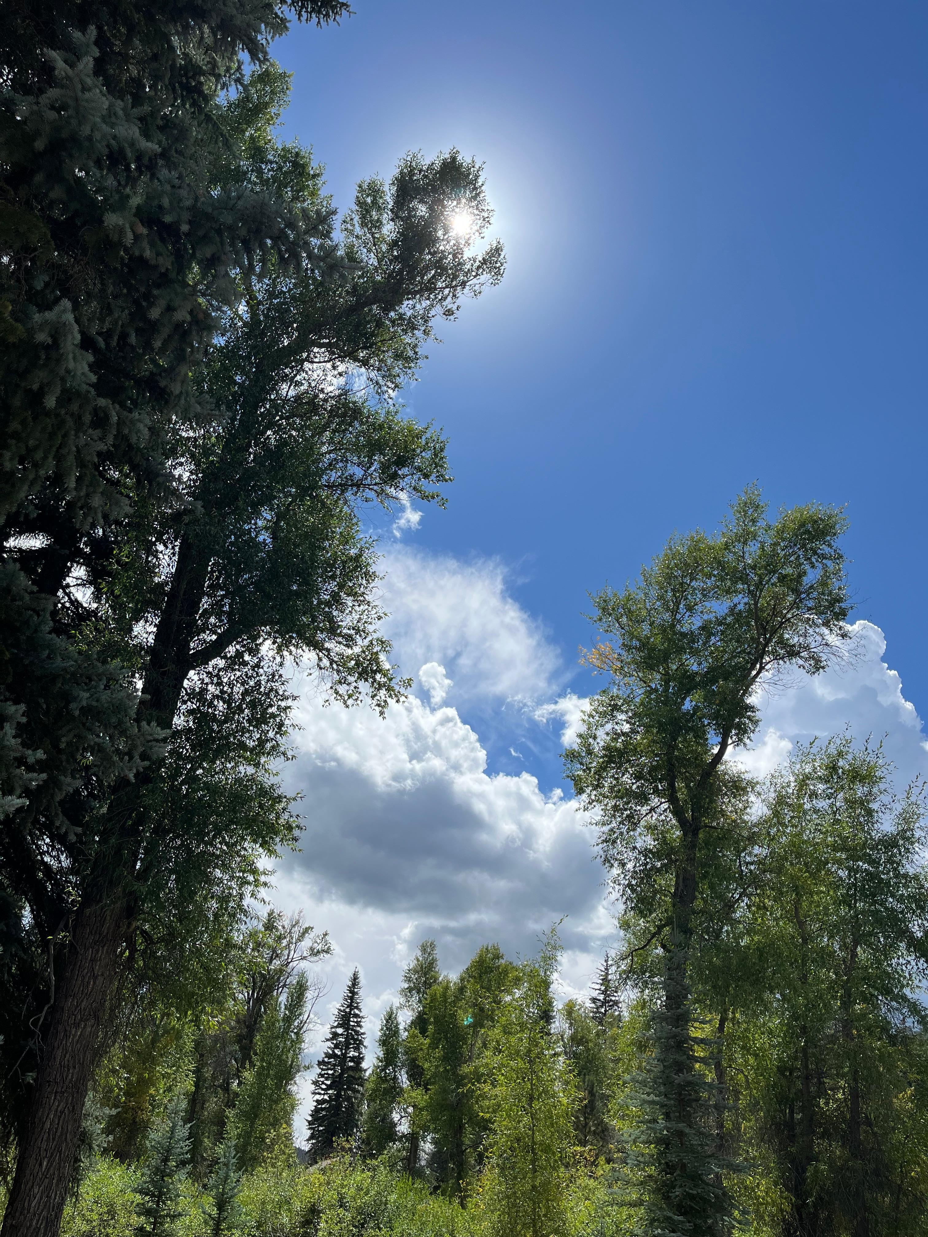 Beauty surrounding the beautiful cabin! 