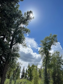 Beauty surrounding the beautiful cabin!