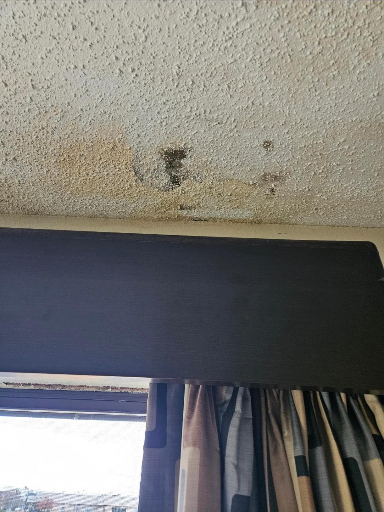 Mold on the ceiling
