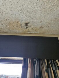 Mold on the ceiling