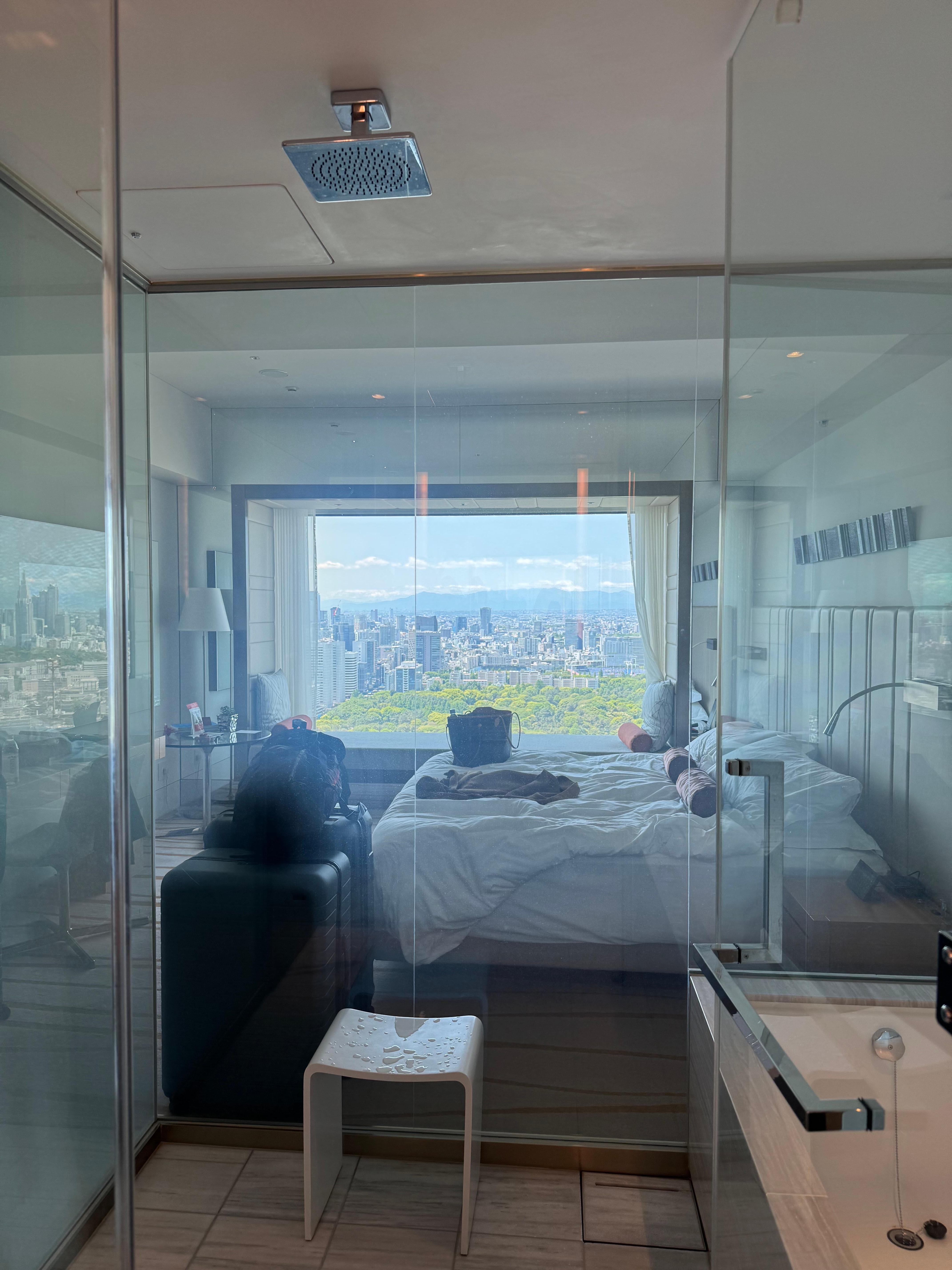 Bathroom view, glass can also be clouded