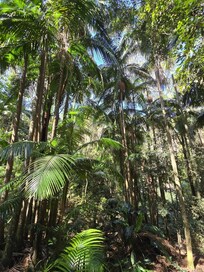 view from the villa balcony