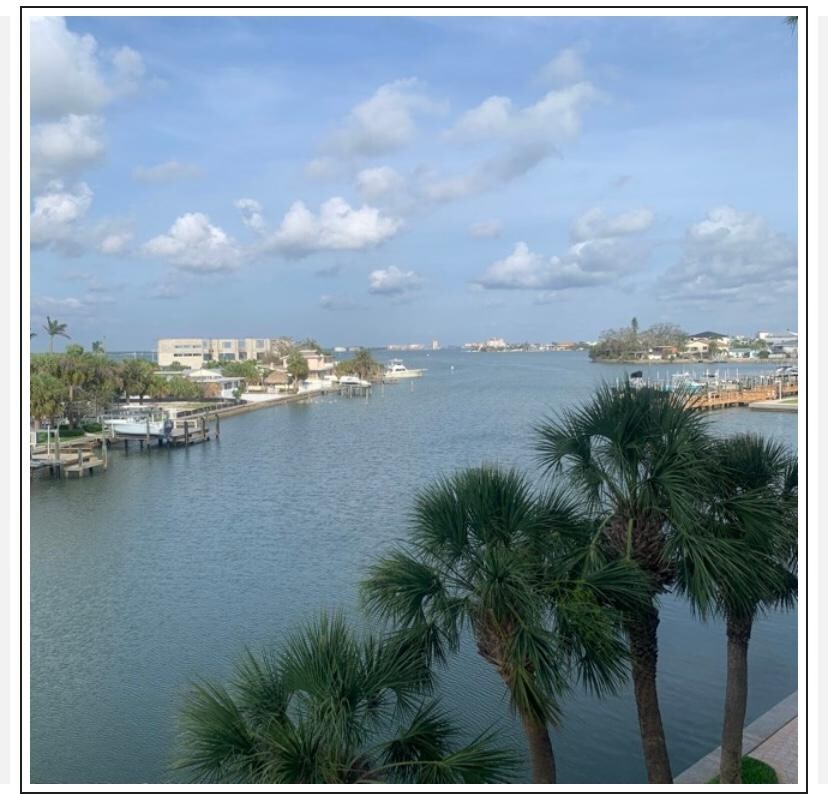 View from the patio