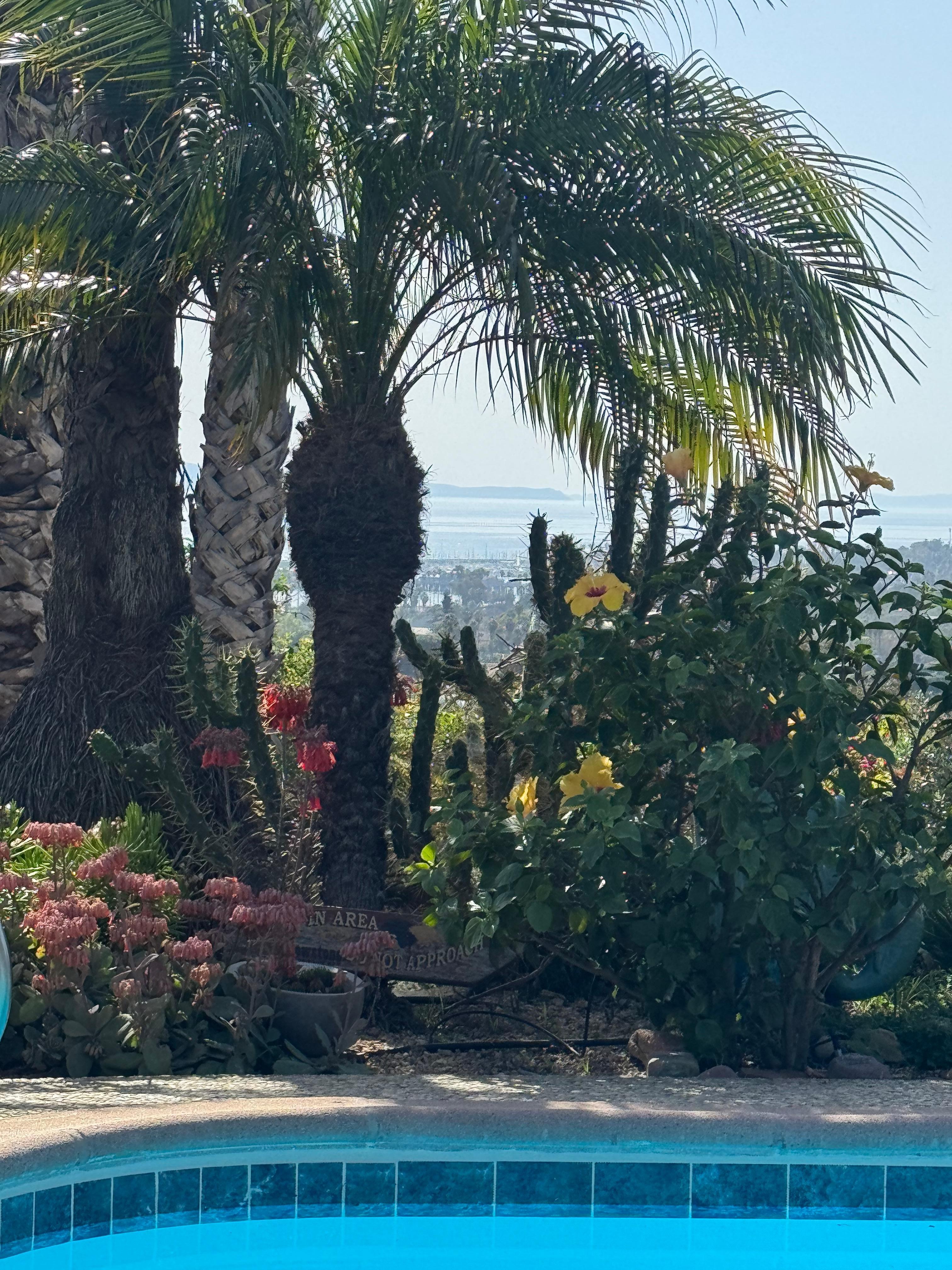 View out to the island