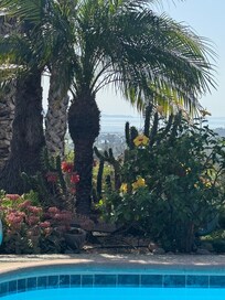 View out to the island