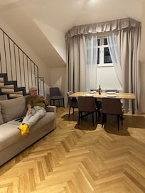 Living room area. Couch pulls out to a double bed.