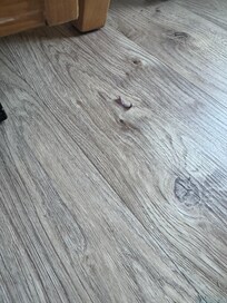 Crumbs on the floor