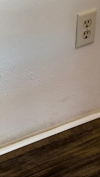 Moldy baseboard
