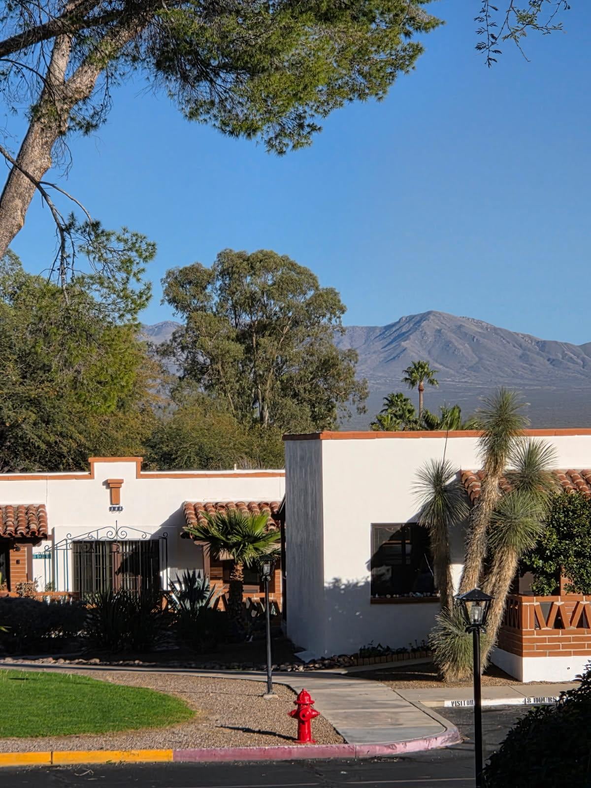 The beautiful view from the patio.