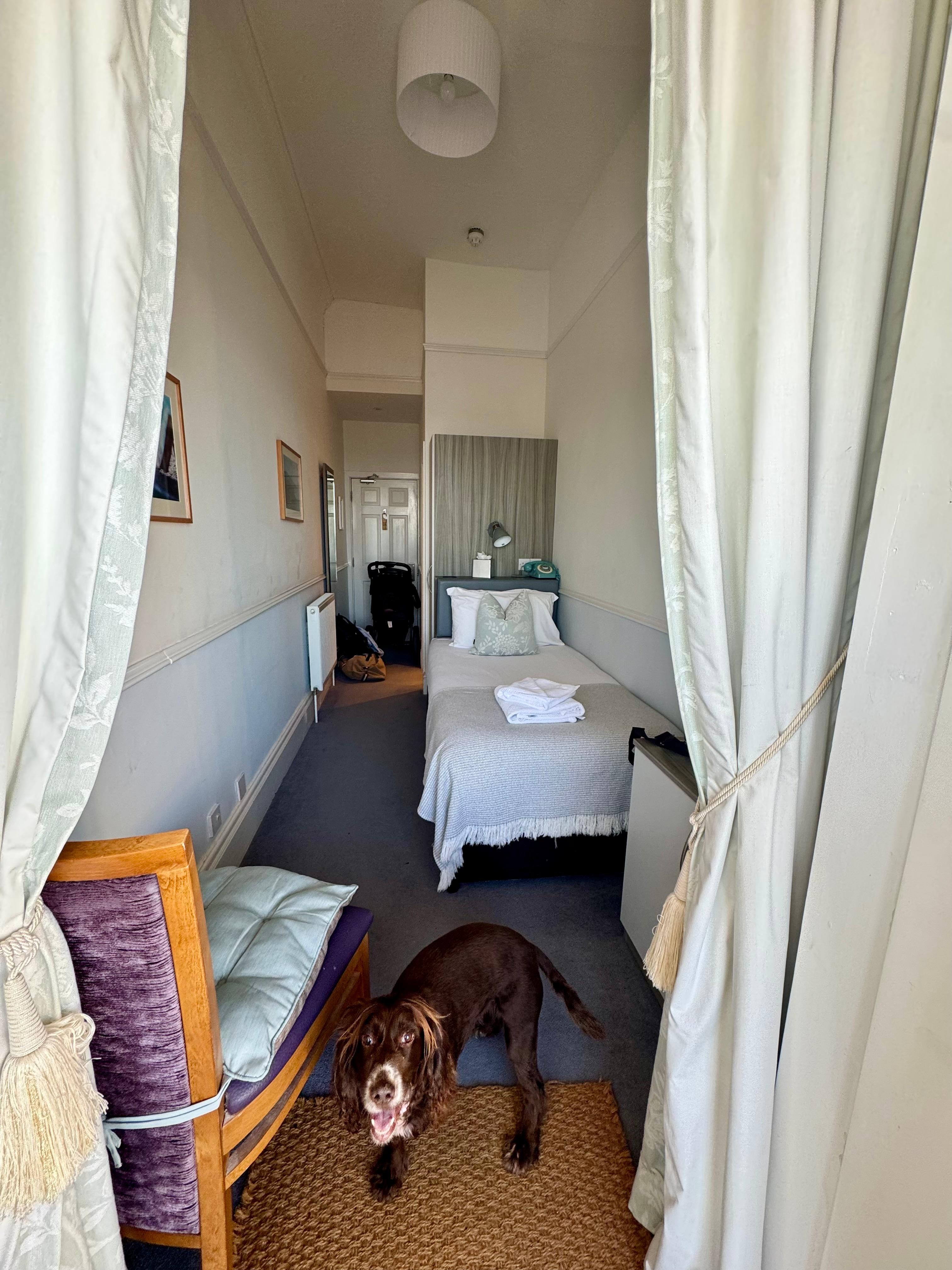 Single pet friendly room