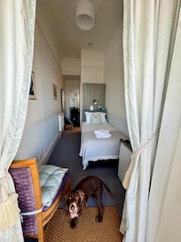 Single pet friendly room