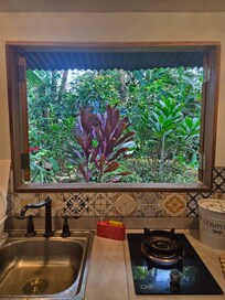 Parece um quadro, mas é a vista da cozinha compartilhada