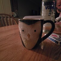 I love a good owl mug