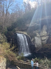 Looking Glass Falls