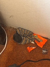 We use cpap machines. Pulled the side tables in the masterbedroom out to find an outlet, uhhhh cleaned everything?