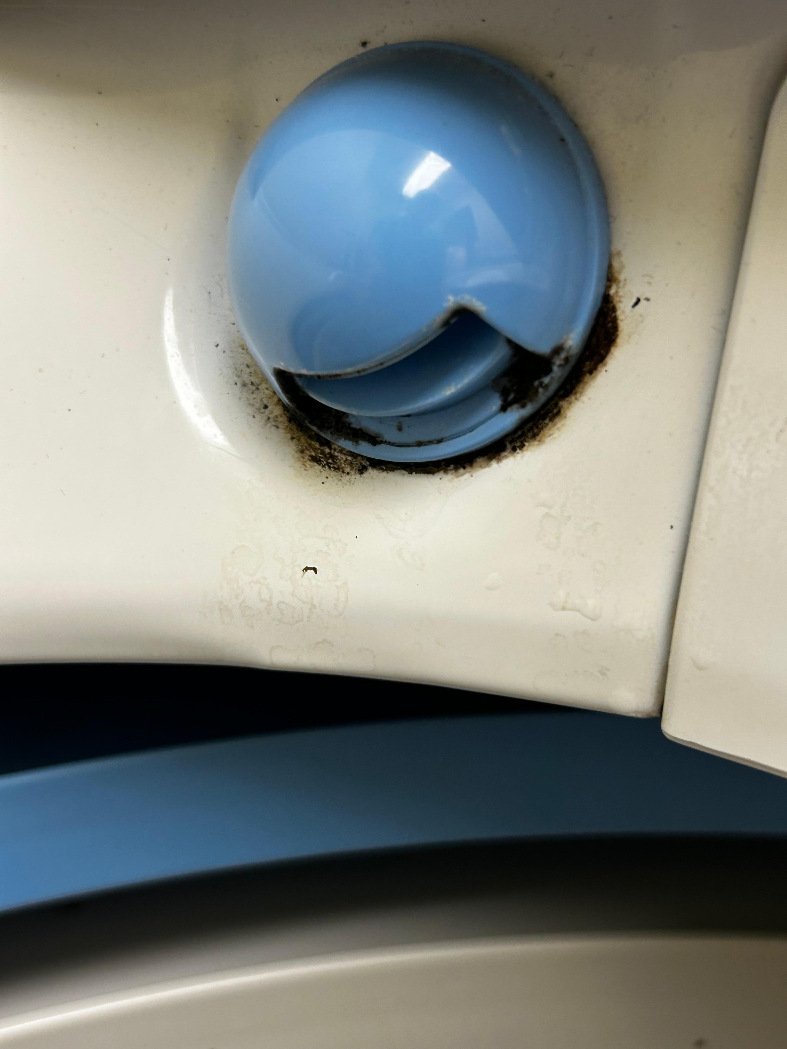 Mold in washer?