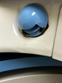 Mold in washer?