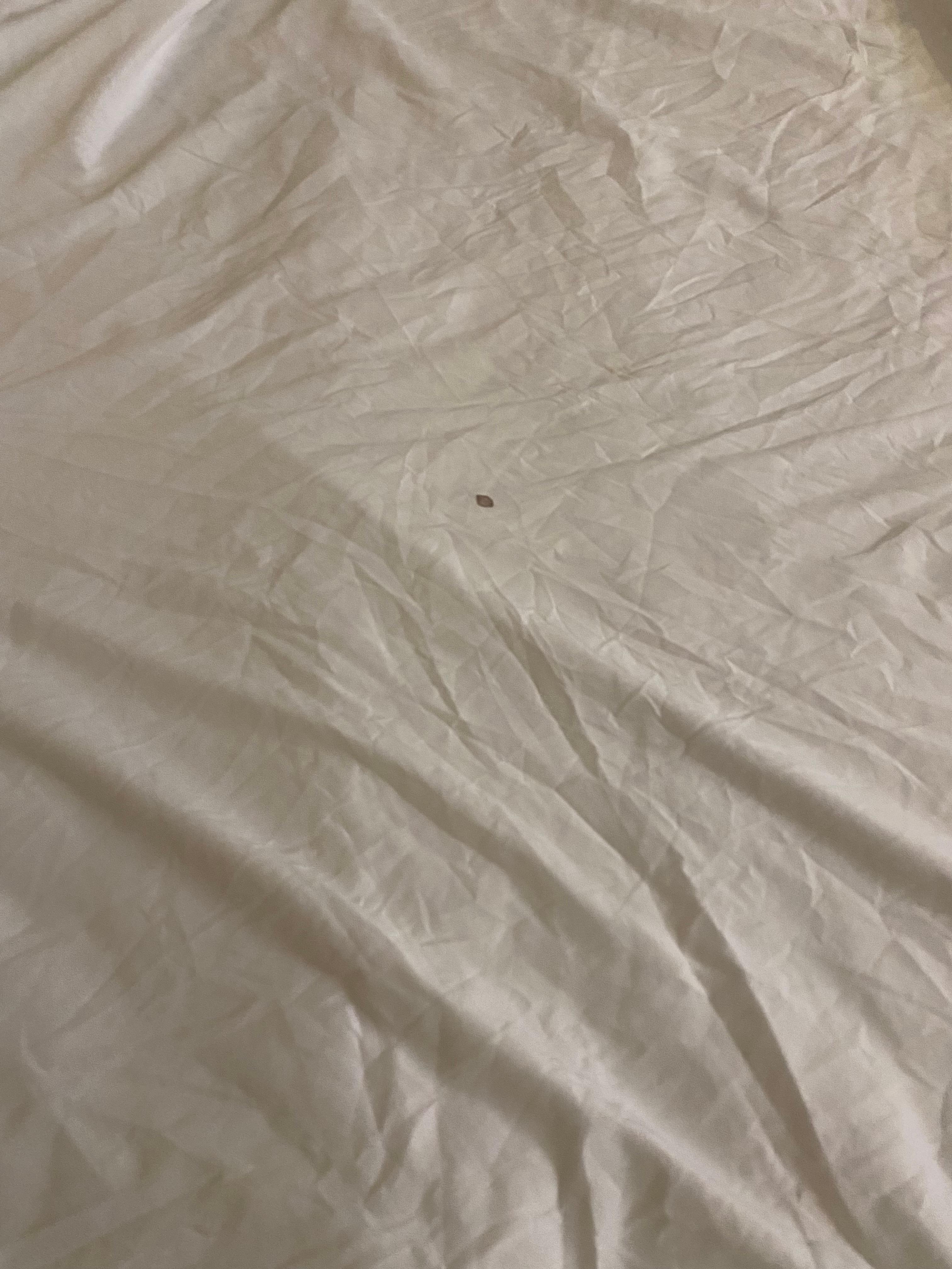 stained sheet - note the check-in information indicated we would be charged if we stained the sheets.